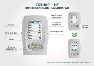 СКЭНАР-1-НТ (исполнение 01)  в Липецке купить Медицинский интернет магазин - denaskardio.ru 